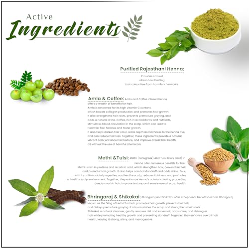 Parampara Ayurved Pure Natural Black Hair Colour Henna Powder No Harmful Chemicals with Coffee Methi Amla Bhringraj Hibiscus for All Hair Types | Black Natural Henna Powder | 100g (20g Pack of 5) (FROM INDIA)SAB - View 3 of 3