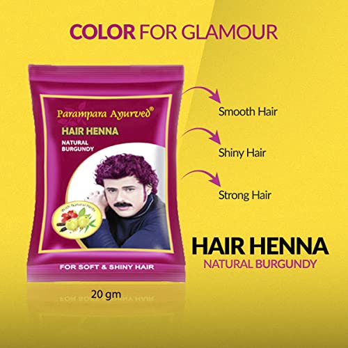 Parampara Ayurved Natural Burgundy Hair Colour Henna Dye with Goodness of Coffee Methi Amla Bhringaraj and Hibiscus 20gm Pack of 10-200gm (FROM INDIA)SAB - View 2 of 4