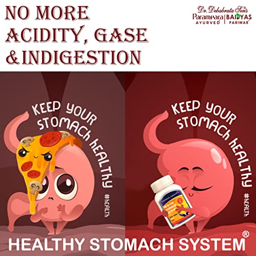 Parampara Ayurved Healthy Stomach System Protect stomach from Acidity Dust 300 Gm (FROM INDIA)SAB - View 2 of 3