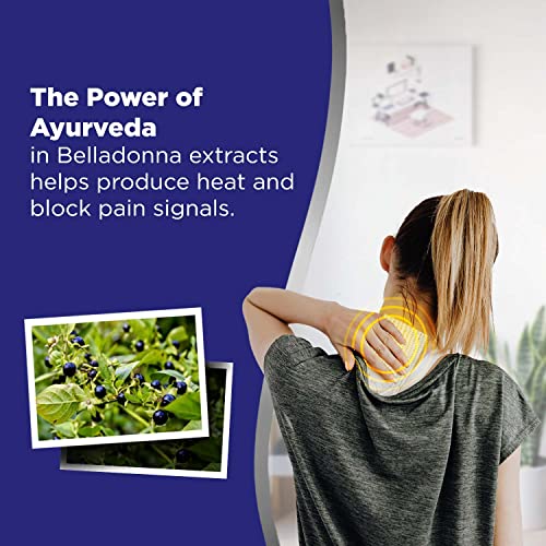 Hansaplast Lion Heat Plaster, Back and Neck Pain Relief Patches | Set of 30 pcs with 10 sheets in each - View 2 of 6