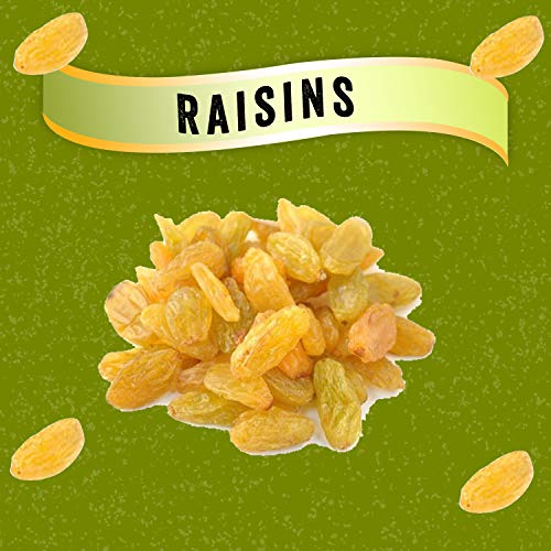 JEWEL FARMER Raisins, Cholesterol Free Fibre Rich Seedless &amp; Sundried Long Kishmish Pack with Resealable Zip Lock (500 g) - View 3 of 3