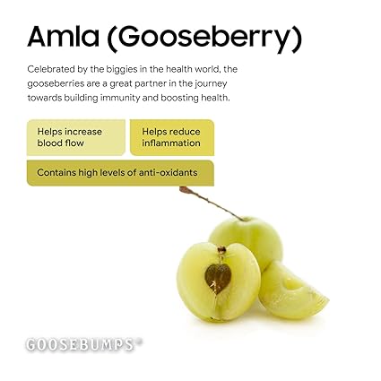 Goosebumps Masala Amla | Dried Gooseberry | Dehydrated Fruit | Chatpata Honey Amla Healthy Snack for kids and adults | Pack of 2 (150x2), 300g (FROM INDIA FAAZ) - View 4 of 4