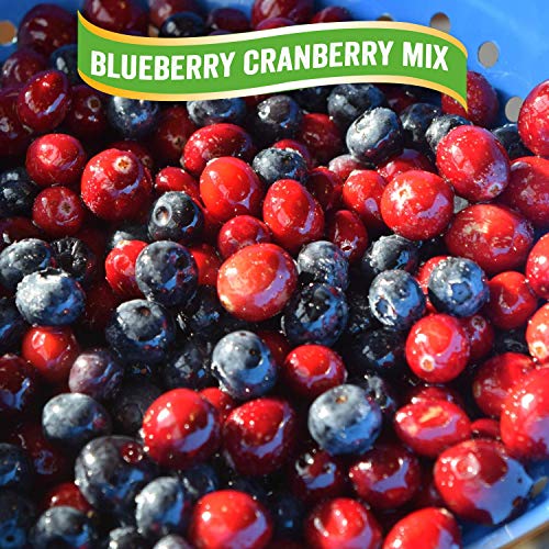 JEWEL FARMER Blueberry Cranberry Mix Anti-Oxidant Enriched Whole Dried Berries Resealable Zip Lock, 200g - View 2 of 3