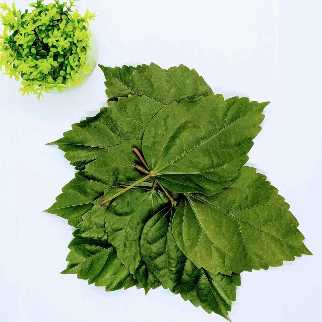 Happy Herbs: Herbal Tea | Hibiscus Leaf Tea | Organic Hibiscus Tea - (100 Grams) - View 3 of 5