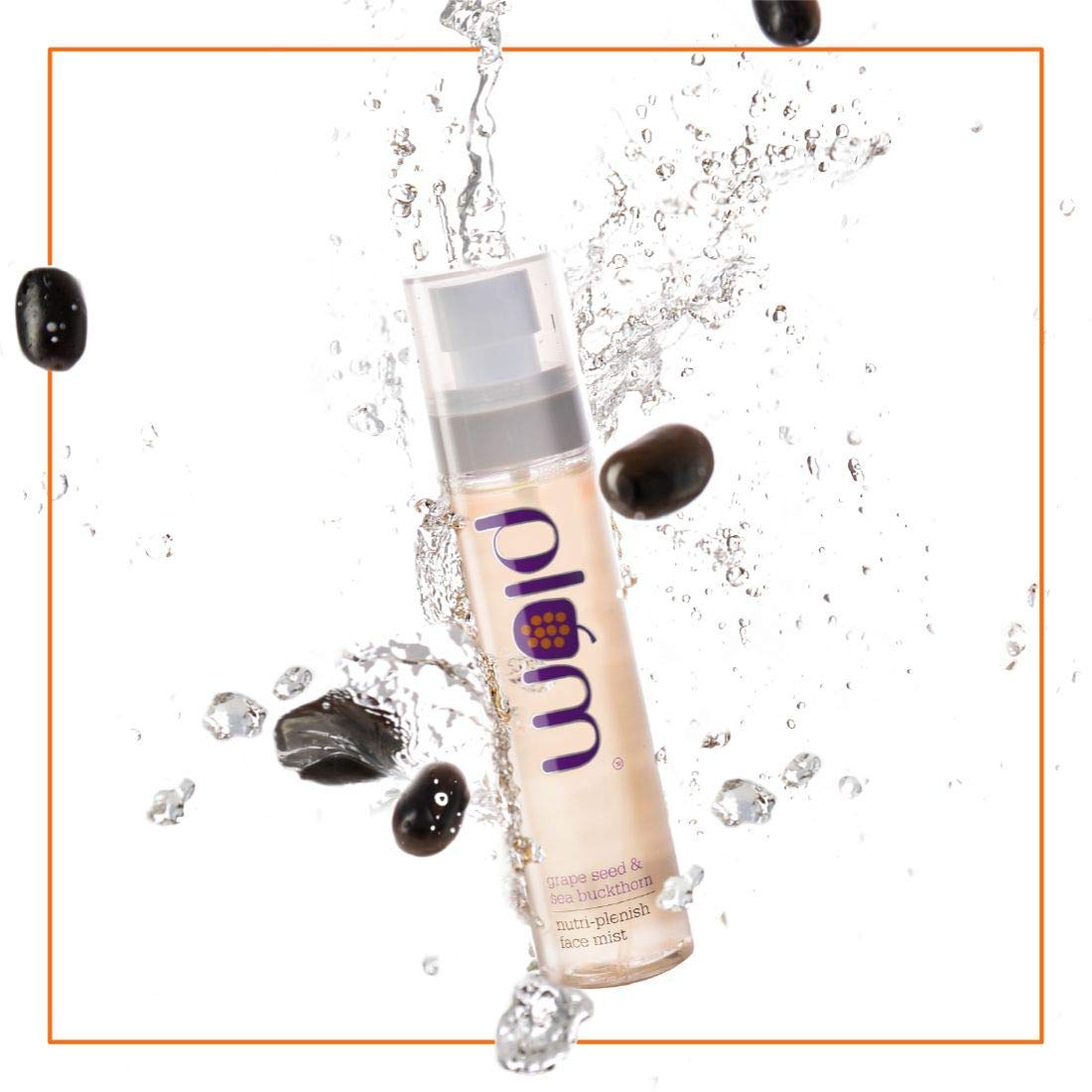 Plum Grape Seed &amp; Sea Buckthorn Nutri-Plenish Face Mist | For Dry, Sensitive &amp; Normal Skin | Hydrates the Skin | | 100% Vegan | Paraben Free | 100ml - View 4 of 4