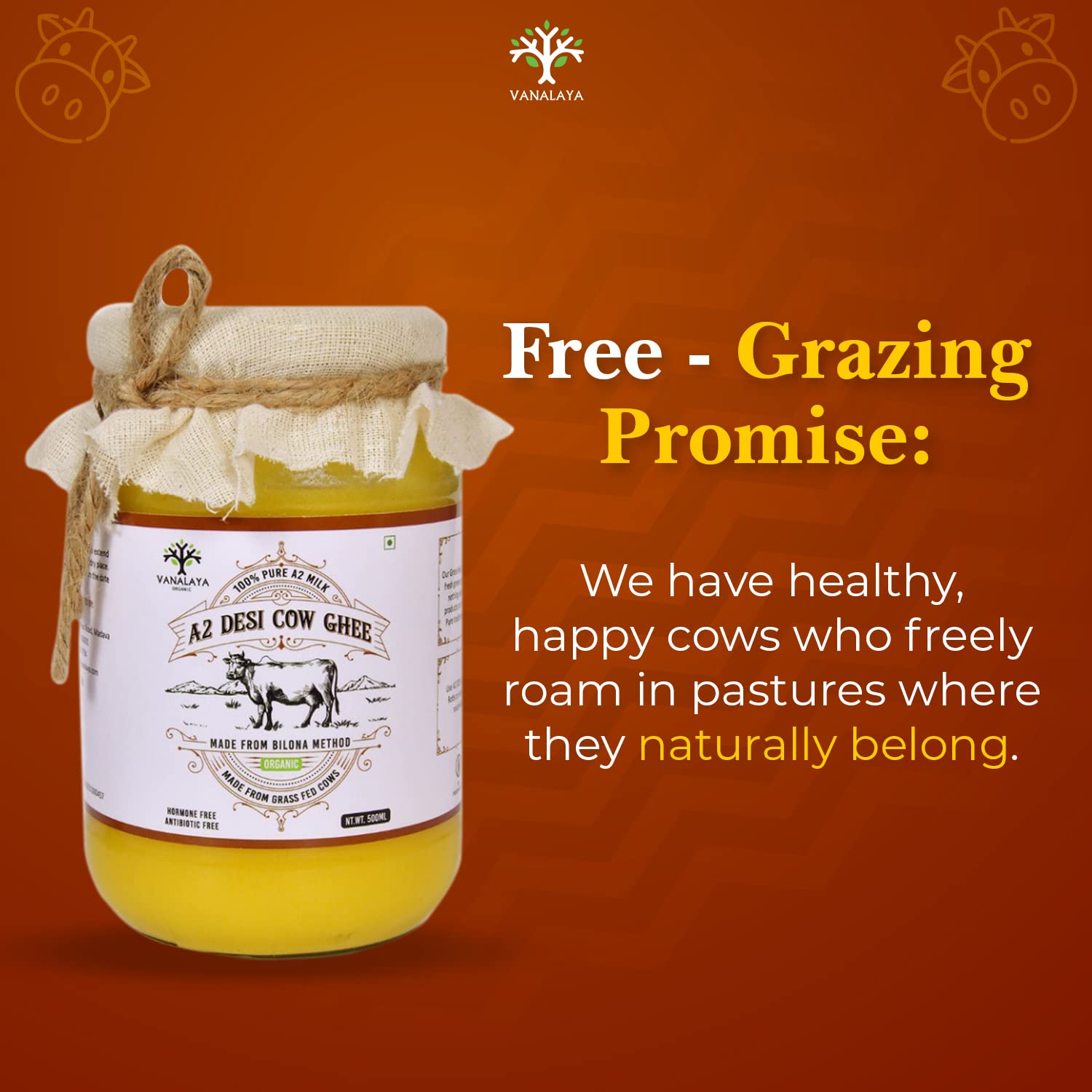 VANALAYA A2 Desi Cow Ghee From A2 Milk Prepared By Traditional Bilona Method- 500 MlFROM INDIA(NUZ) - View 4 of 7