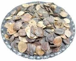 Vedomax Edible Harshringar Seeds – Beej Harsingar – Paarijaat Beej – Parijat Seeds – Nyctanthes Arbor Tristis (400 gm) - View 3 of 3