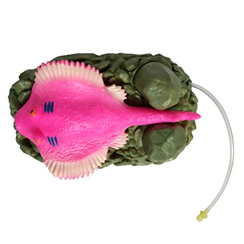 Jainsons Pet Products® Action Stingray Real Underwater Movement Toys Aquarium Fish Tank Decoration Ornament Stingray Fish FROM INDIA(NUZ) - View 7 of 7