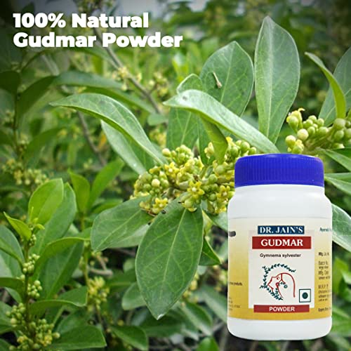 DR. JAIN'S Gudmar Powder 45grams Pack of 3 (FROM INDIA)SAB - View 2 of 2