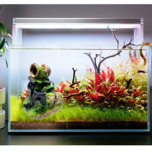 JAINSONS PET PRODUCTS® Padmashri Natural Environment Underwater Decoration for Fish Tank (Multicolour) FROM INDIA(NUZ) - View 6 of 6
