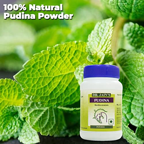 DR. JAIN'S Pudina Powder 45grams Pack of 3 (FROM INDIA)SAB - View 2 of 2