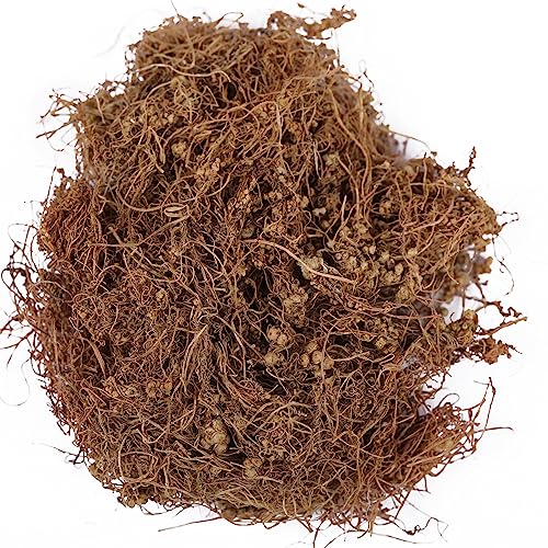 YUVIKA Afteeyun - Aftiun - Afttimoon - Amar Bel - Aakash Bel - Cuscuta Reflexa - Dodder (200 Grams herb) - View 3 of 3