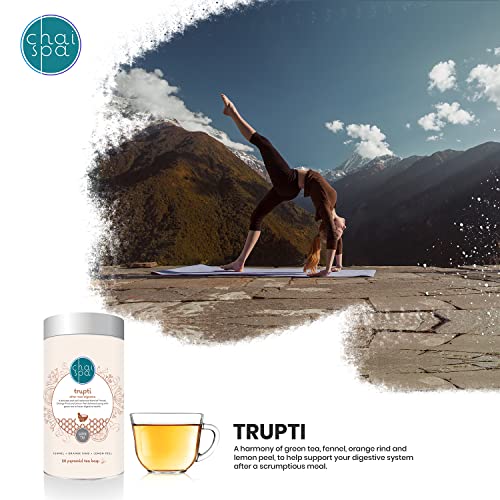 ChaiSpa Reboot Health- TRUPTI &amp; AROGYA by Teafloor | Green Tea for Rejuvenating Body | Helps Fight Body Infections | Only Natural Ingredients | 40 Green Tea Pyramid Bags (FROM INDIA)SAB - View 6 of 7