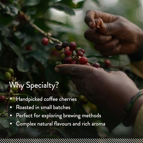 Blue Tokai Coffee Roasters Cold Brew Blend Bold - Medium Dark Roast (Channi) 250 G | Made With 100% Specialty Grade Arabica Freshly Roasted Ground Coffee Packet (FROM INDIA)SAB - View 7 of 7