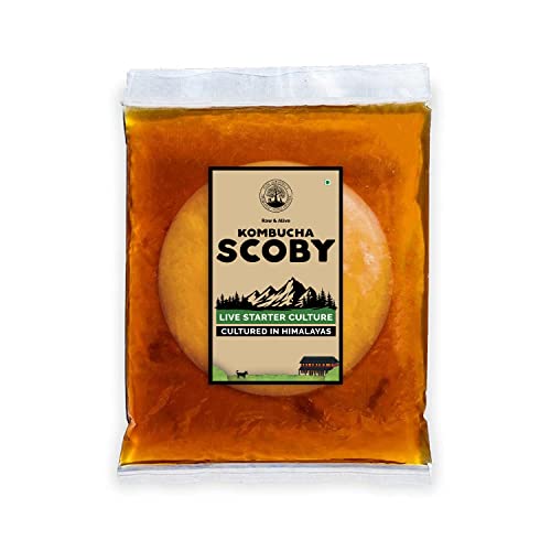 Peepal Farm Products Kombucha Scoby Liquid Natural Probiotic Culture And Starter Black Tea 100% Natural, No Preservative Keto-Friendly, Low Sugar, Vegan, Gluten-Free (400Ml), 400 Mg(FROM INDIA FAAZ) - View 2 of 6