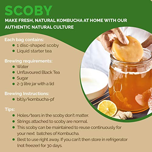 Peepal Farm Products Kombucha Scoby Liquid Natural Probiotic Culture And Starter Black Tea 100% Natural, No Preservative Keto-Friendly, Low Sugar, Vegan, Gluten-Free (400Ml), 400 Mg(FROM INDIA FAAZ) - View 5 of 6