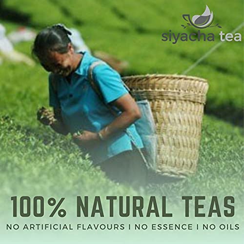 Siyacha Tea Darjeeling Black Tea |Season Fresh Second Flush Chai Patti|Thurbo Garden FTGFOP 1 Clonal Tippy Loose Leaf|Healthy Herbal Beverage |100 Grams Makes 50 Cups (approx) (FROM INDIA)SAB - View 5 of 6