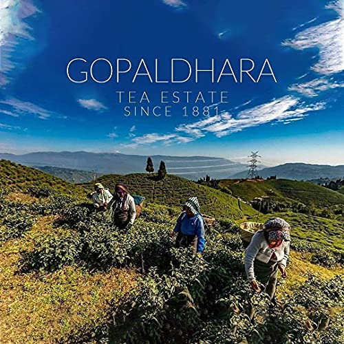 Gopaldhara Darjeeling Tea Clonal Tippy Maharani of Darjeeling 50g Paper Box - (Royal Series) FTGFOP1 Fresh High Mountain First Flush Tea AV2 Clones at Elevation Height of 7000 Feet (FROM INDIA)SAB - View 4 of 4
