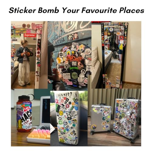 CodersParadise Pack of 50 Architect Edition Vinyl Stickers For Laptop ...