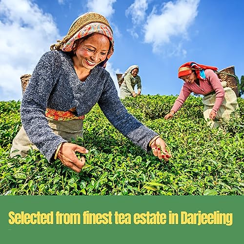 NEteaHUB Assam Black Loose CTC Leaf Tea |400g |Premium CTC tea | Robust in Flavour and Aroma | Premium Kadak | Chai Patti |Milk Tea (400)V(FROM INDIA)SAB - View 7 of 7