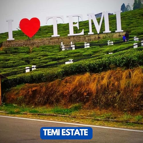 BLACK TEA SIKKIM ORGANIC TEMI TEA LEAF TEA |BROKEN LEAF|125g|Pack of 1| AUTHENTIC BROKEN|USDA |IMO |ONECERT Certified | VERY GOOD AROMA AND TASTE |OWNED BY GOVT OF SIKKIM (FROM INDIA)SAB - View 7 of 7