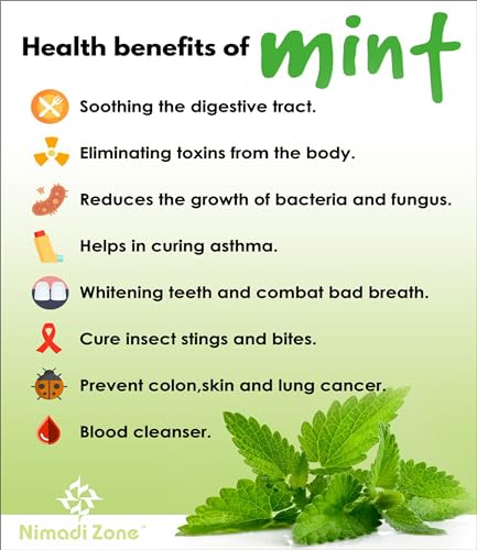 Nimadi Zone Green Mint Leaf Powder/Pudina Leaf Powder -500 GM by Nimadi ZoneFROM INDIA(NUZ) - View 6 of 7