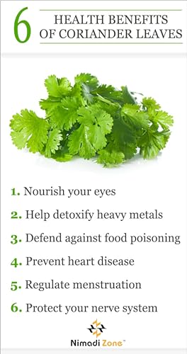 Nimadi Zone Green Coriander Leaf Powder (Dhaniya Leaf Powder) - 200 GM by Nimadi ZoneFROM INDIA(NUZ) - View 6 of 7