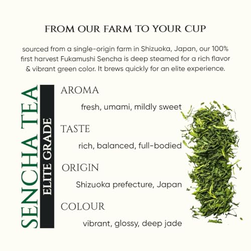 Sencha Green Tea (FROM INDIA)SAB - View 2 of 6