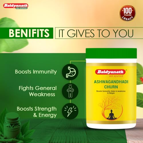 Baidyanath Ashwagandhadi Churna - Made with Ayurvedic Herbs to Combat General Debility - 100g (Pack of 2)(FROM INDIA)NUZ - View 5 of 7