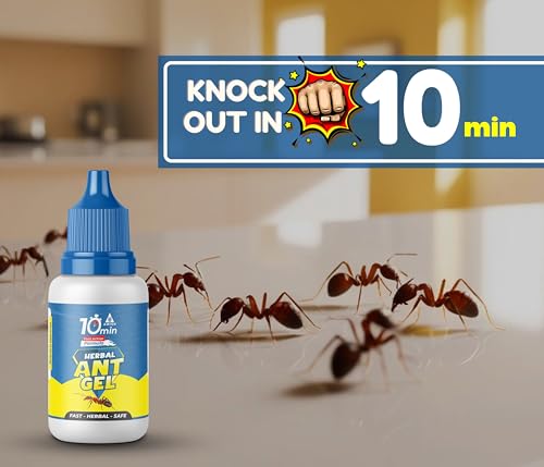 Amish A Herbal Ant Gel Pack of 2 | 10 Minute s Result Guaranty | Removes Entire Ant Infestation| Powerful Ant Repellent for Home | 100% Organic Ant Gel Bait for Home &amp; Kitchen Office &amp; Garden (FROM INDIA) NUSS - View 4 of 6