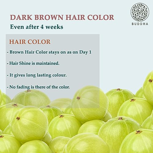 Buddha Natural Dark Brown Hair Color - 50 Grams - Plant Based Natural - Instant, No Ammonia. Get Natural Dark Brown Color Free from Harsh Chemicals(FROM INDIA)JEZ - View 4 of 6