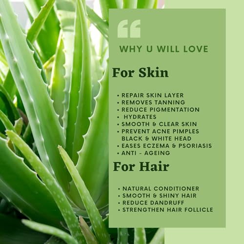 Herbirain Pure &amp; Natural Aloevera Gel Enriched With Vitamin E,C &amp; Rose Extract /For Face, Skin, &amp; Hair | Both For Men &amp; Women | Fragrance Free &amp; No Added Colour | Hydrating, Tan removal,Clear, Glowing skin 250gm (FROM INDIA) NUSS - View 2 of 6