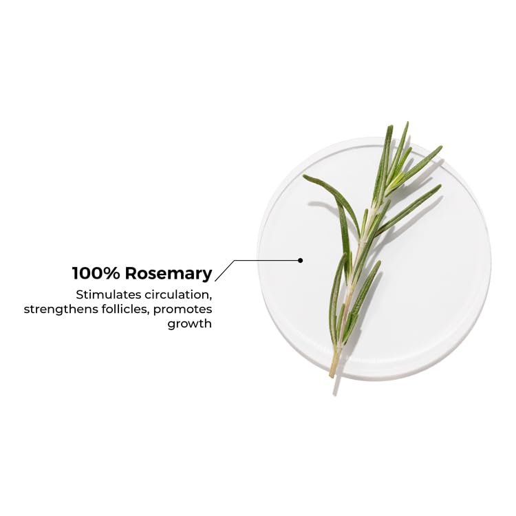 BRILLARE Pure Rosemary Essential Oil For Hair Growth 15 Ml, 70 Grams(FROM INDIA)JEZ - View 6 of 7