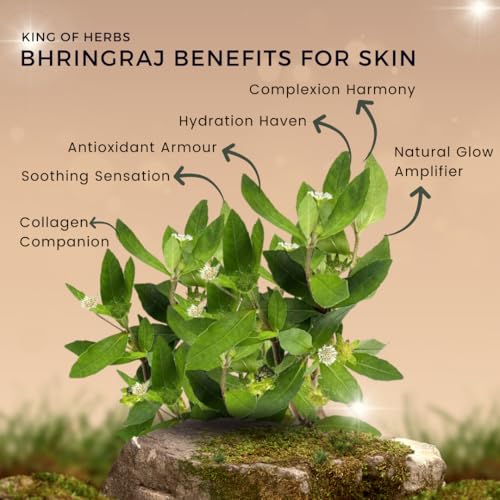 Estosen Bhringraj Veg Glycerin Premium Handmade Hair Care Soap- 100% organic - Ashwagandha powder &amp; Oil, Veg Glycerin, Cold Pressed Coconut oil -100% Paraben Free -Sulphate Free -No Synthetic Colours 85GM (FROM INDIA)JEZ - View 2 of 7