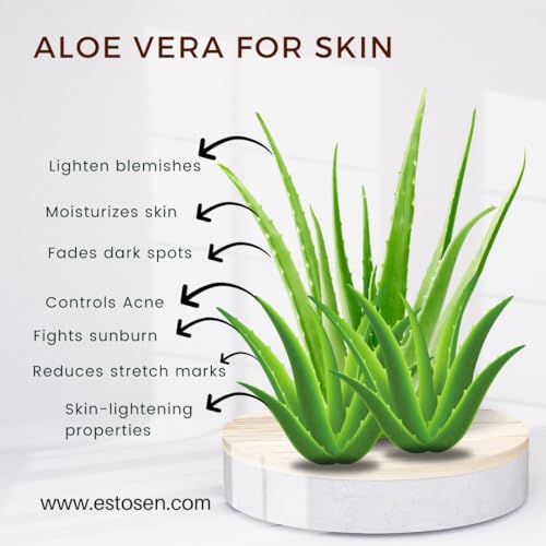 Estosen Menthol Aloe vera Hand made Premium Soap- 100% organic - Aloe Vera powder &amp; Oil - Peppermint oil - Veg Glycerin - Cold Pressed Coconut oil -100% Paraben - Free -Sulphate Free - No Synthetic Colours(FROM INDIA)JEZ - View 3 of 7
