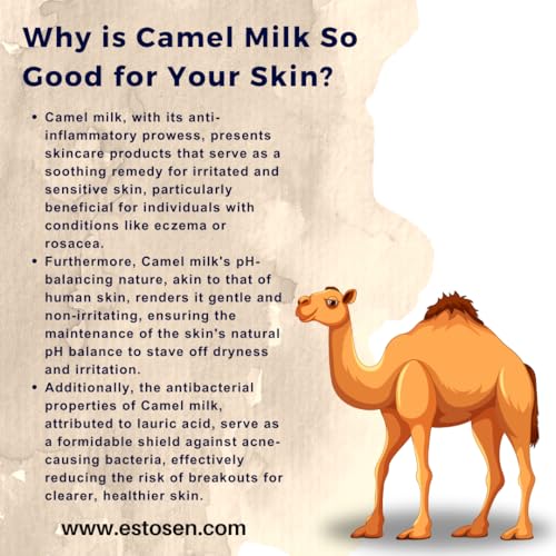 Estosen Tea Tree Camel Milk Hand-made Premium Soap - 100% organic - Tea tree oil - Sandalwood Powder - Veg Glycerin - Cold Pressed Coconut oil -100% Paraben - Free -Sulphate Free - No Synthetic Colours 85GM  (FROM INDIA)JEZ - View 3 of 7