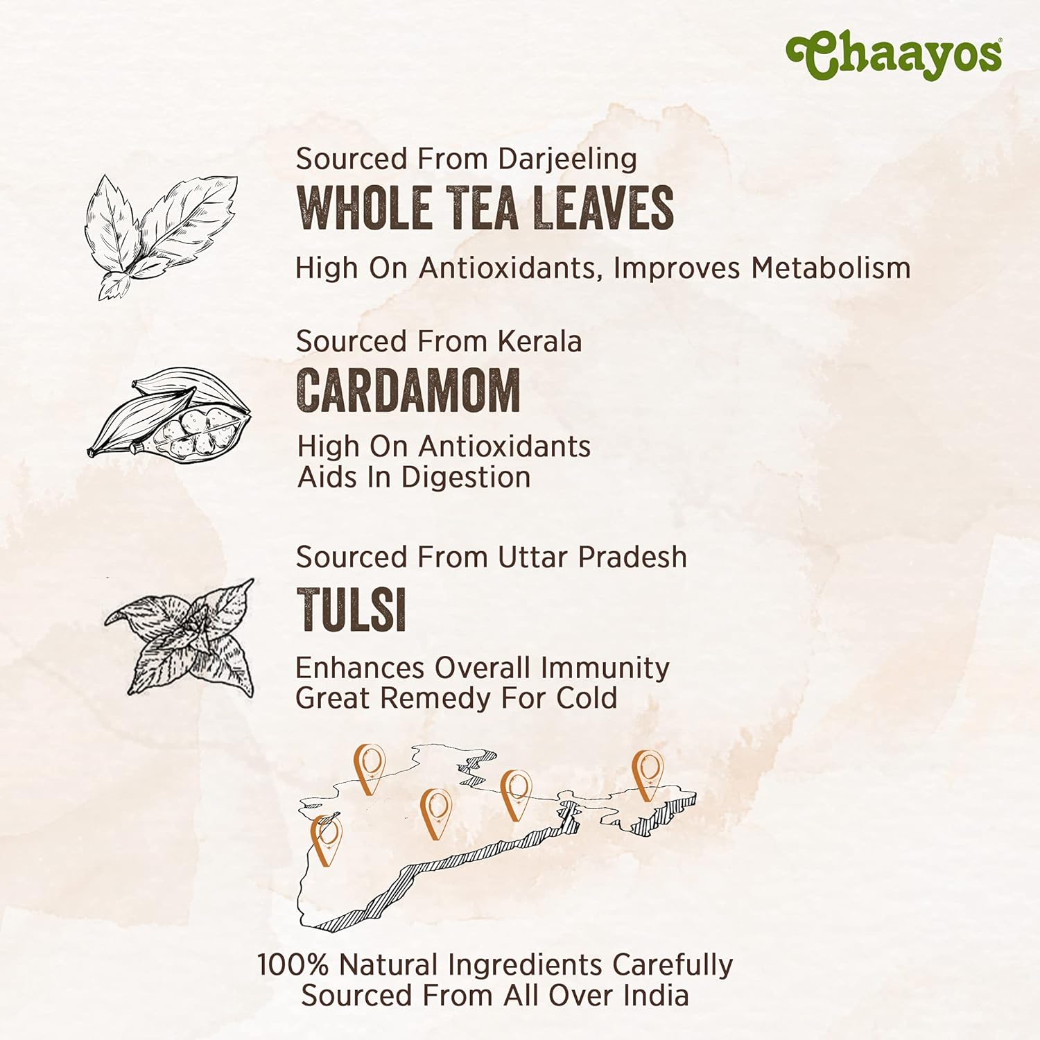 Chaayos Green Tea Bags - Tulsi Cardamom (25 Pyramid Tea Bags) | Tulsi and Cardamom Flavoured Green Tea | Green Tea | Herbal Tea | Tulsi Green Tea | Detox Green Tea - View 2 of 3