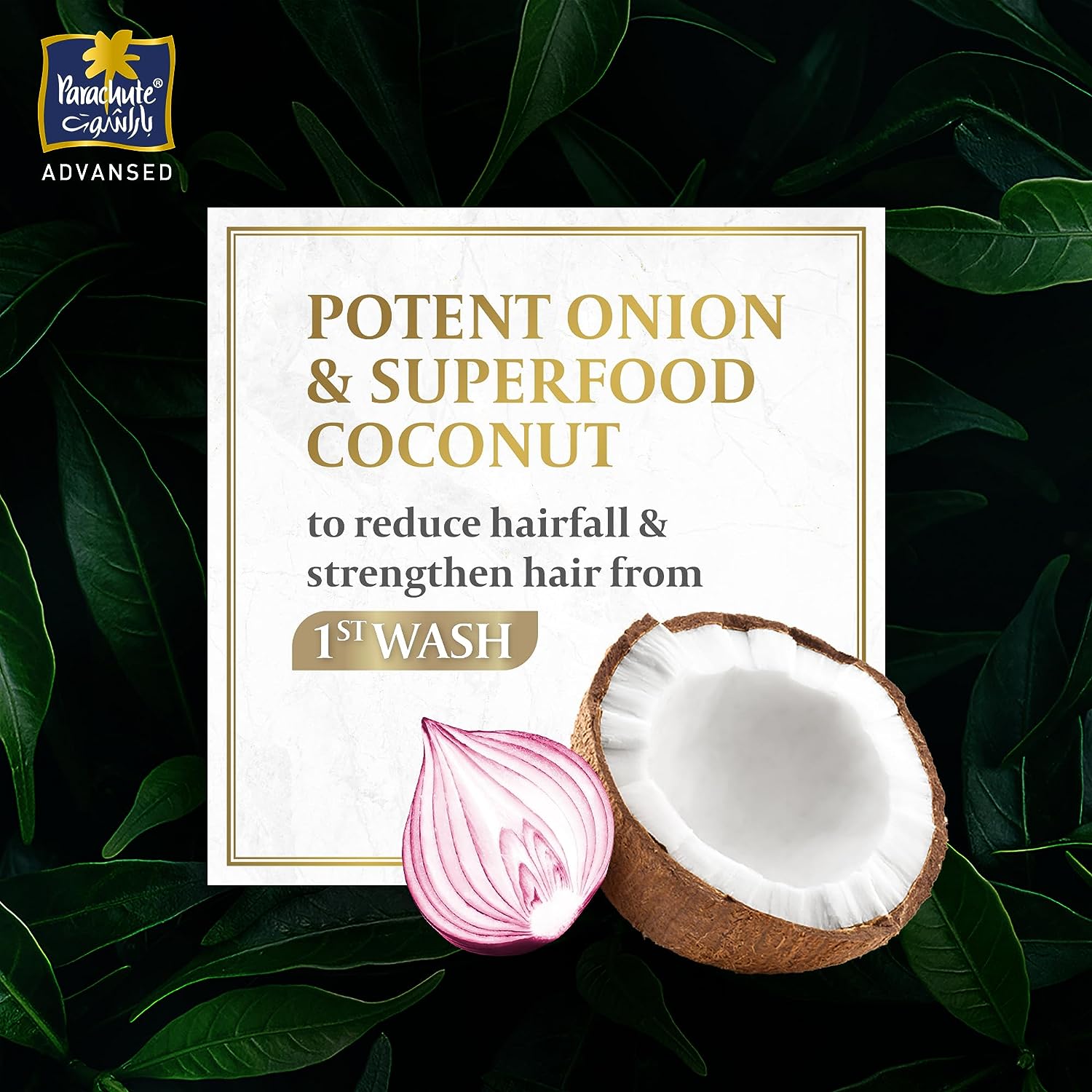 Parachute Advansed Anti-Hairfall Shampoo with Onion and Coconut | Strengthens Hairs and Reduces Hairfall | 0% Harmful Chemicals | 340ml - View 3 of 3