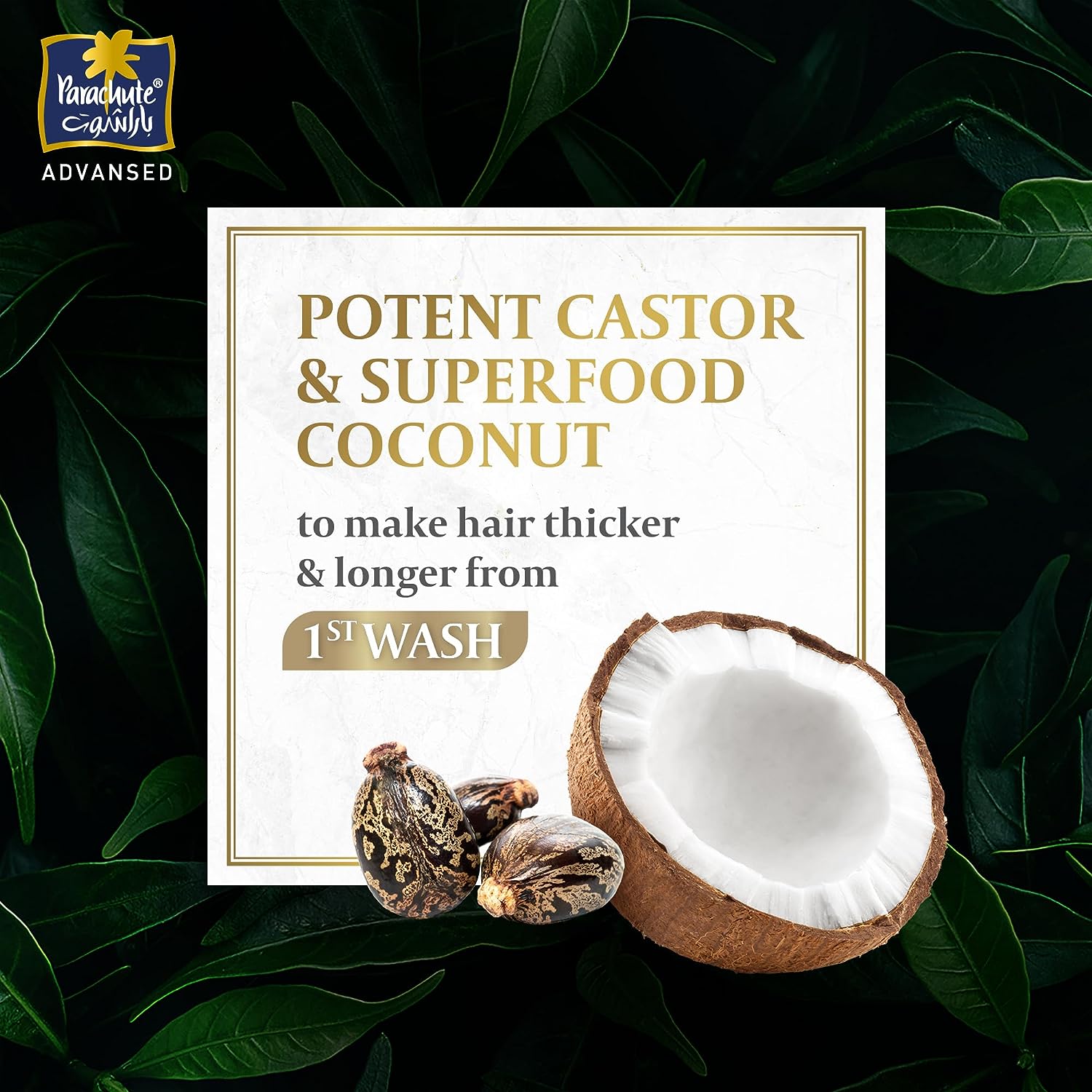 Parachute Advansed Nourishing Care Shampoo with Caster and Coconut | Tames and Nourishes Frizzy Hair | 0% Harmful Chemicals | 340ml - View 2 of 3