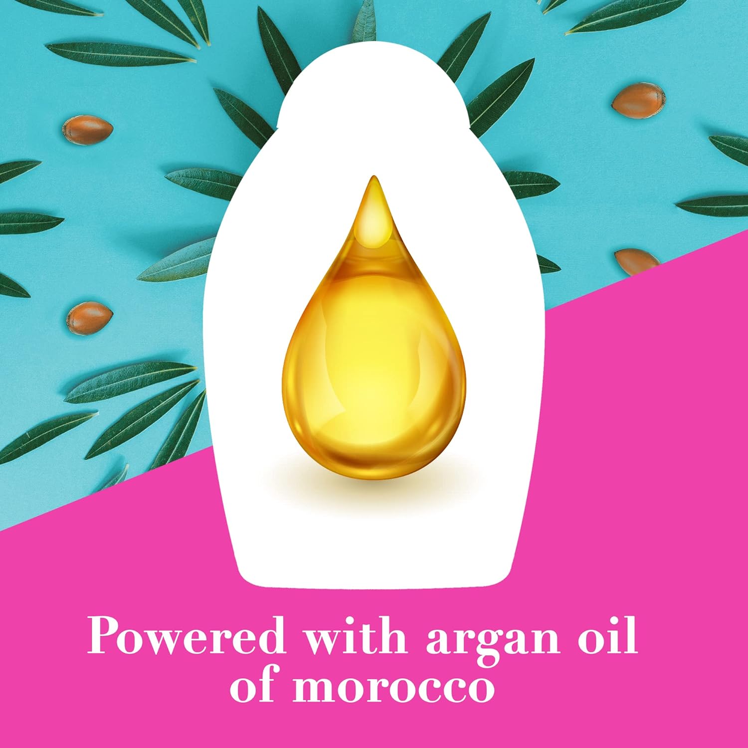 OGX, Shampoo, Renewing+ Argan Oil Of Morocco, 385ml - View 3 of 5