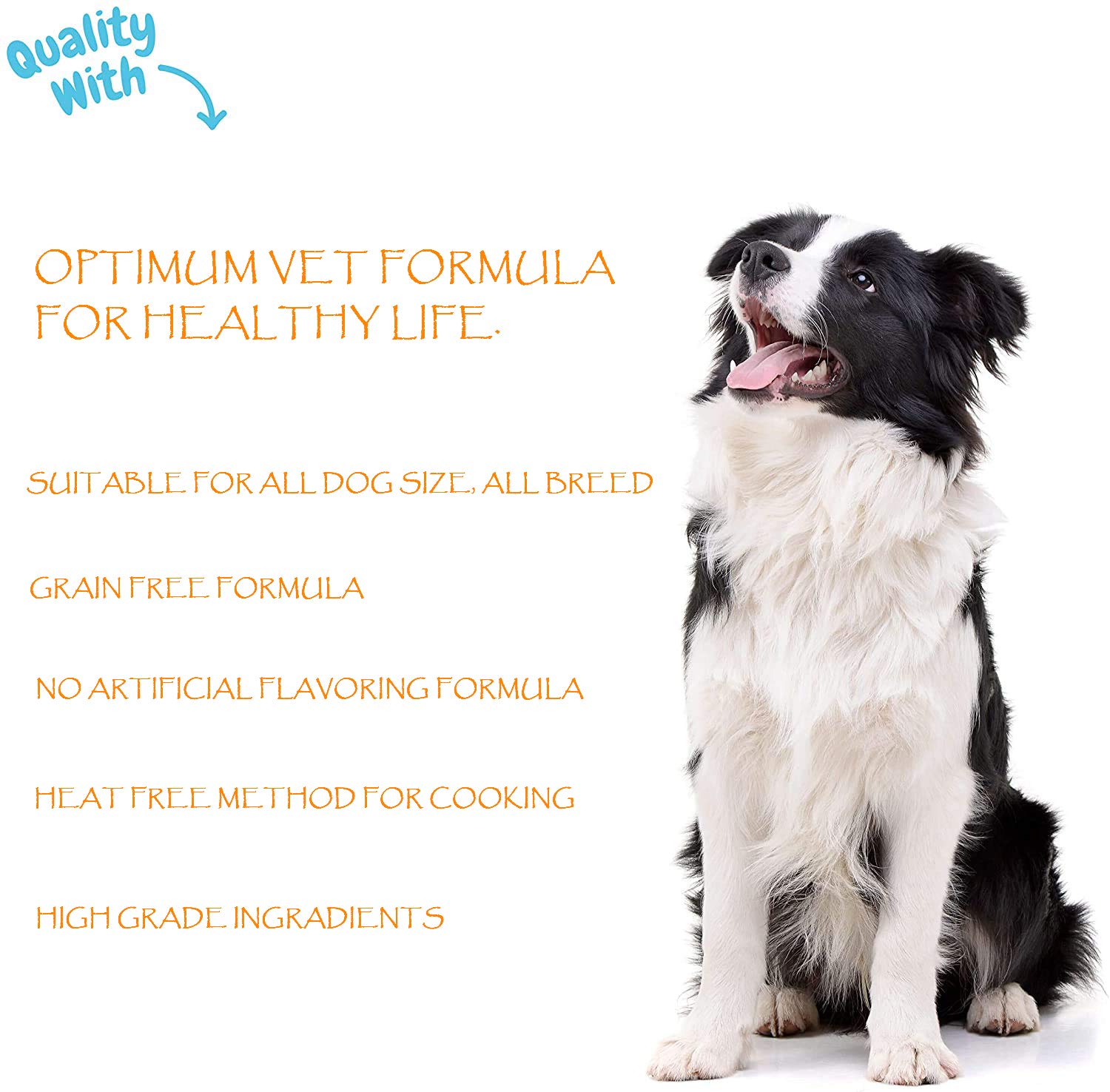 WOW DOG Chewable Calcium Tablet - Calcium for Dogs Supplement with Vitamin D3, B12, Magnesium &amp; Zinc | Chicken Flavour - 120 Tablets - View 5 of 6