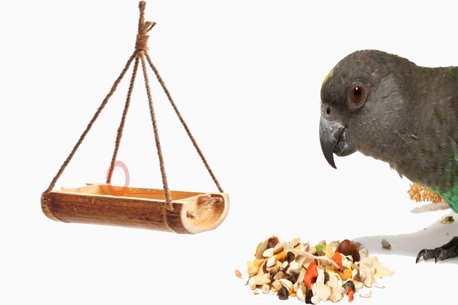 LIVEONCE Bamboo Open Feeder for Birds Set of 1- Color -Natural - View 4 of 5