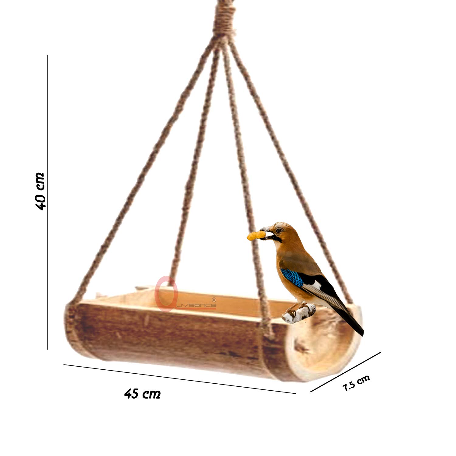 LIVEONCE Bamboo Open Feeder for Birds Set of 1- Color -Natural - View 2 of 5