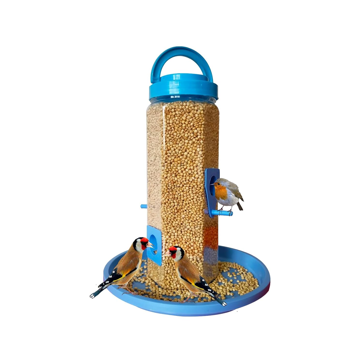 KBV Bird Feeder 4 Way Hanging Bird Feeder for Sparrow, Finches, Budgies, Indian Munias, Parrot for Home, Balcony, Window, Terrace and Garden (Blue) - Related product