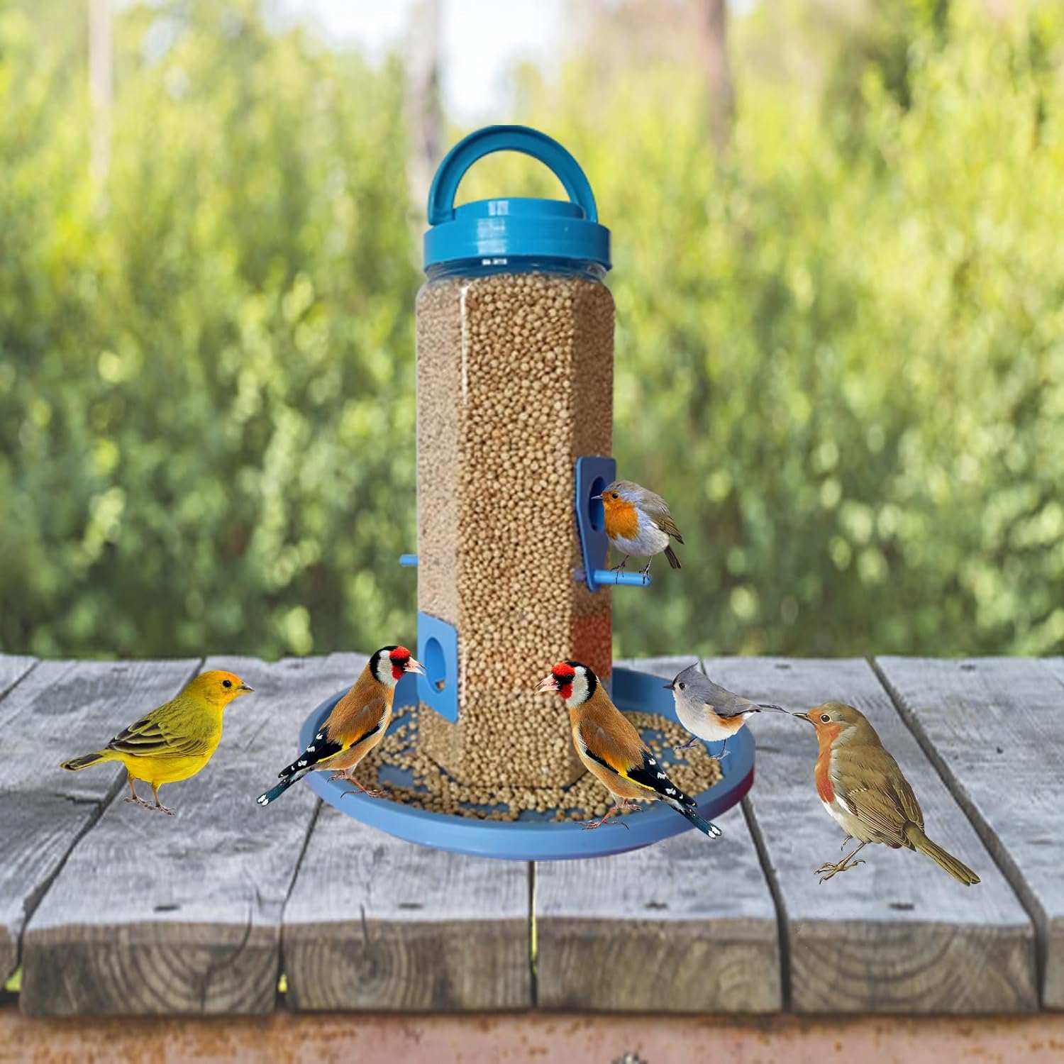 KBV Bird Feeder 4 Way Hanging Bird Feeder for Sparrow, Finches, Budgies, Indian Munias, Parrot for Home, Balcony, Window, Terrace and Garden (Blue) - View 3 of 4