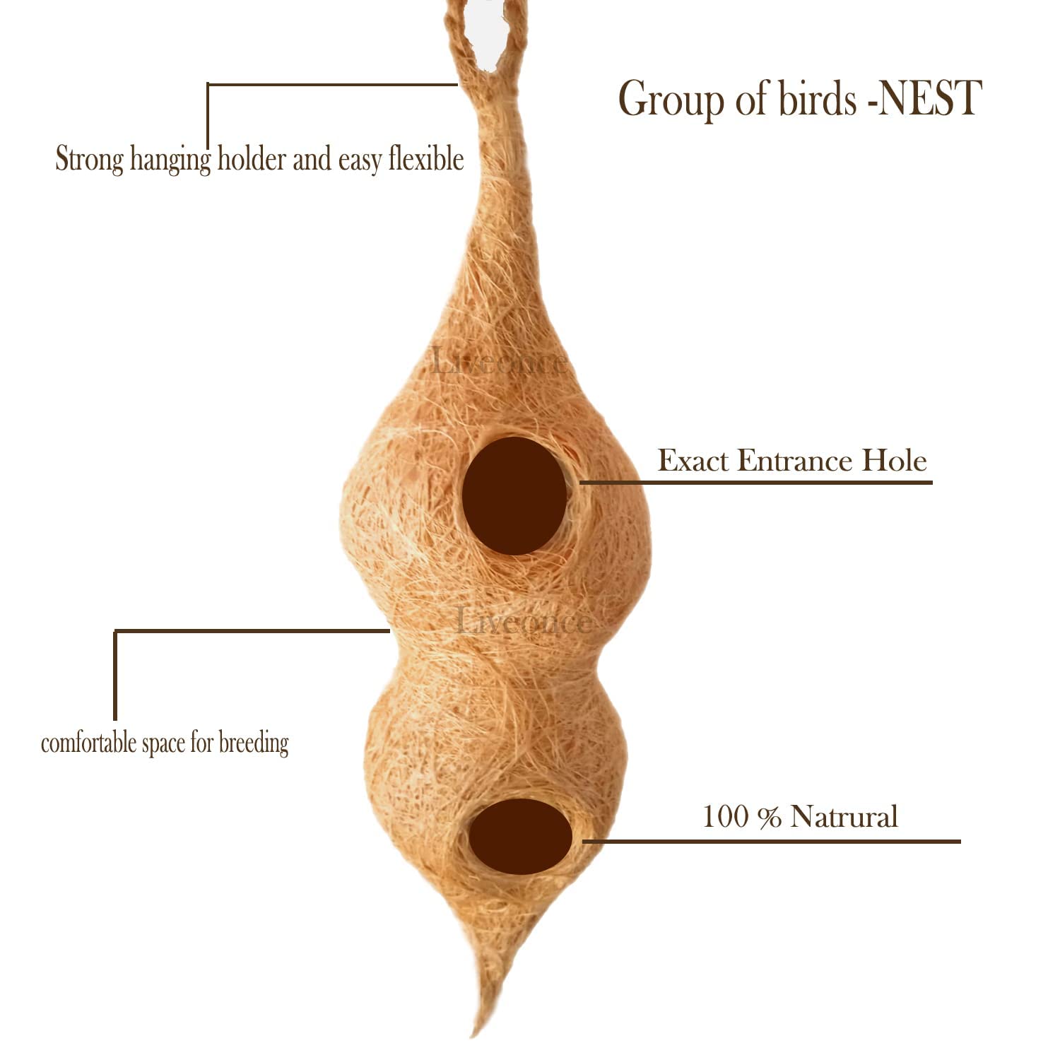 WildBird Care Safest Organic Double Condos Bird nest Purely Handmade Sparrow/Small Birds, Material Type -Coir and Coconut Shell(Brown) - View 3 of 5