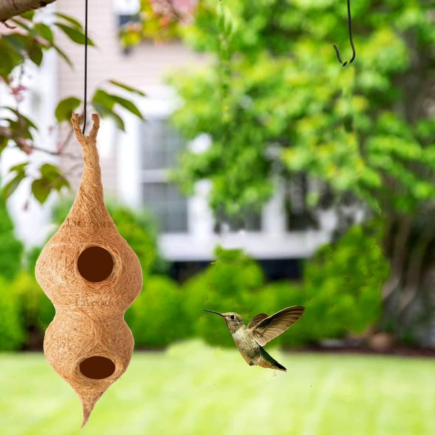 WildBird Care Safest Organic Double Condos Bird nest Purely Handmade Sparrow/Small Birds, Material Type -Coir and Coconut Shell(Brown) - View 2 of 5