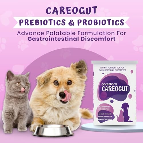 CAREDOM CAREOGUT Prebiotics &amp; Probiotics for Gut Health | Blend with Digestive Enzymes | Prebiotic and Probiotic Supplement for Dogs &amp; Cats | Immunity Booster | Gut Health Supplements | 100gram - View 3 of 4