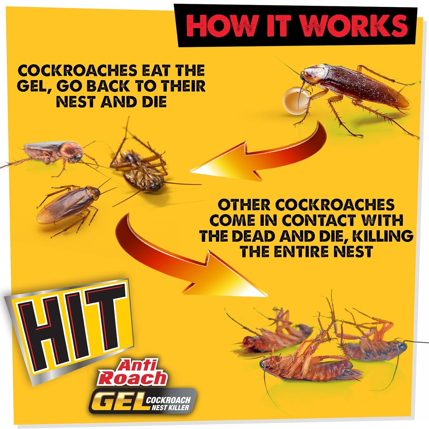 HIT Anti Roach Gel - Cockroach Killer (20g) | Kitchen Safe | Odourless | Fast and Convenient, Pack of 1 - View 3 of 3