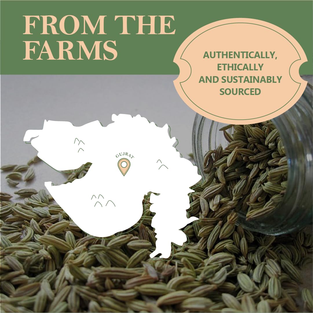 The Great Indian Spicery | Fennel Seeds (Saunf) | 100gm Tin - Steam Sterilisation, 100% Pure & Natural, Farm Fresh, Non-Adulterated | Antioxidant Rich, Fights Bacteria, Aids Digestion | Teas & Cooking - View 3 of 5